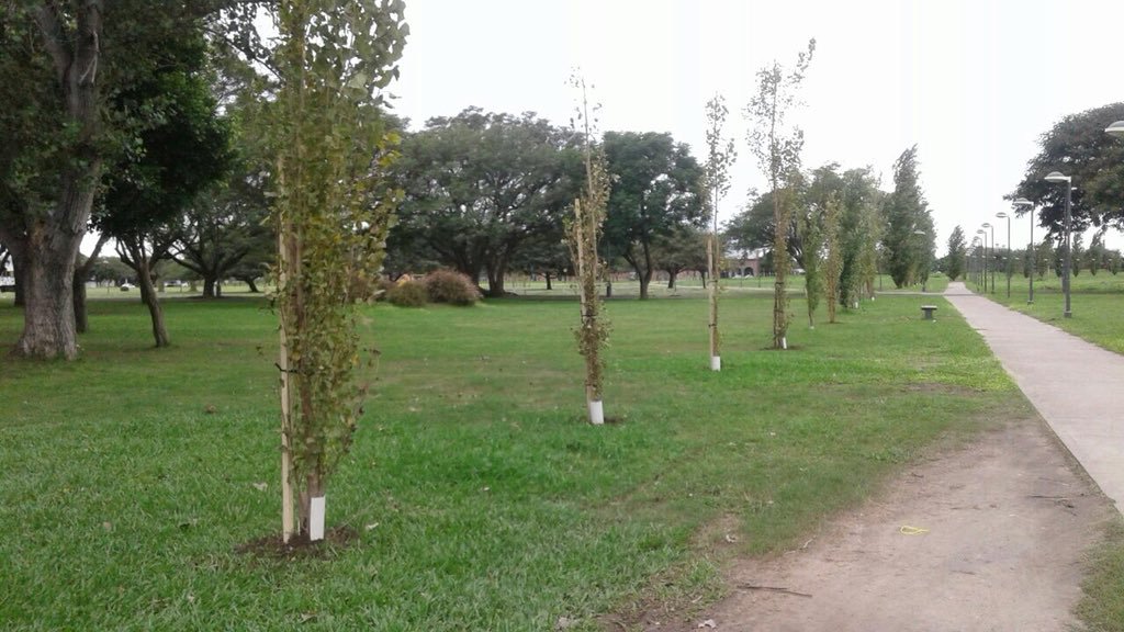 Parque Federal