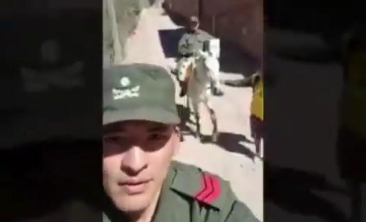 viral gendarmes