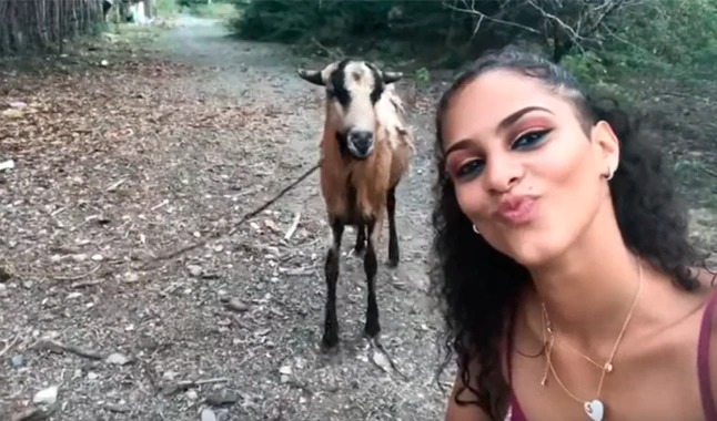 viral cabra