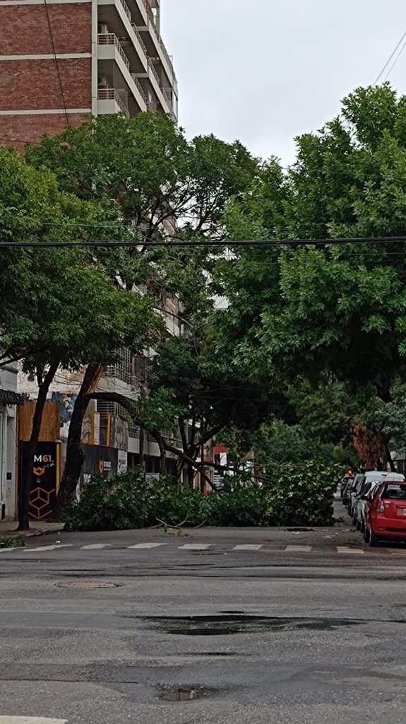 Tormenta en rosario