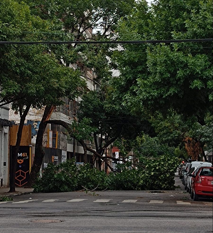 Tormenta en rosario